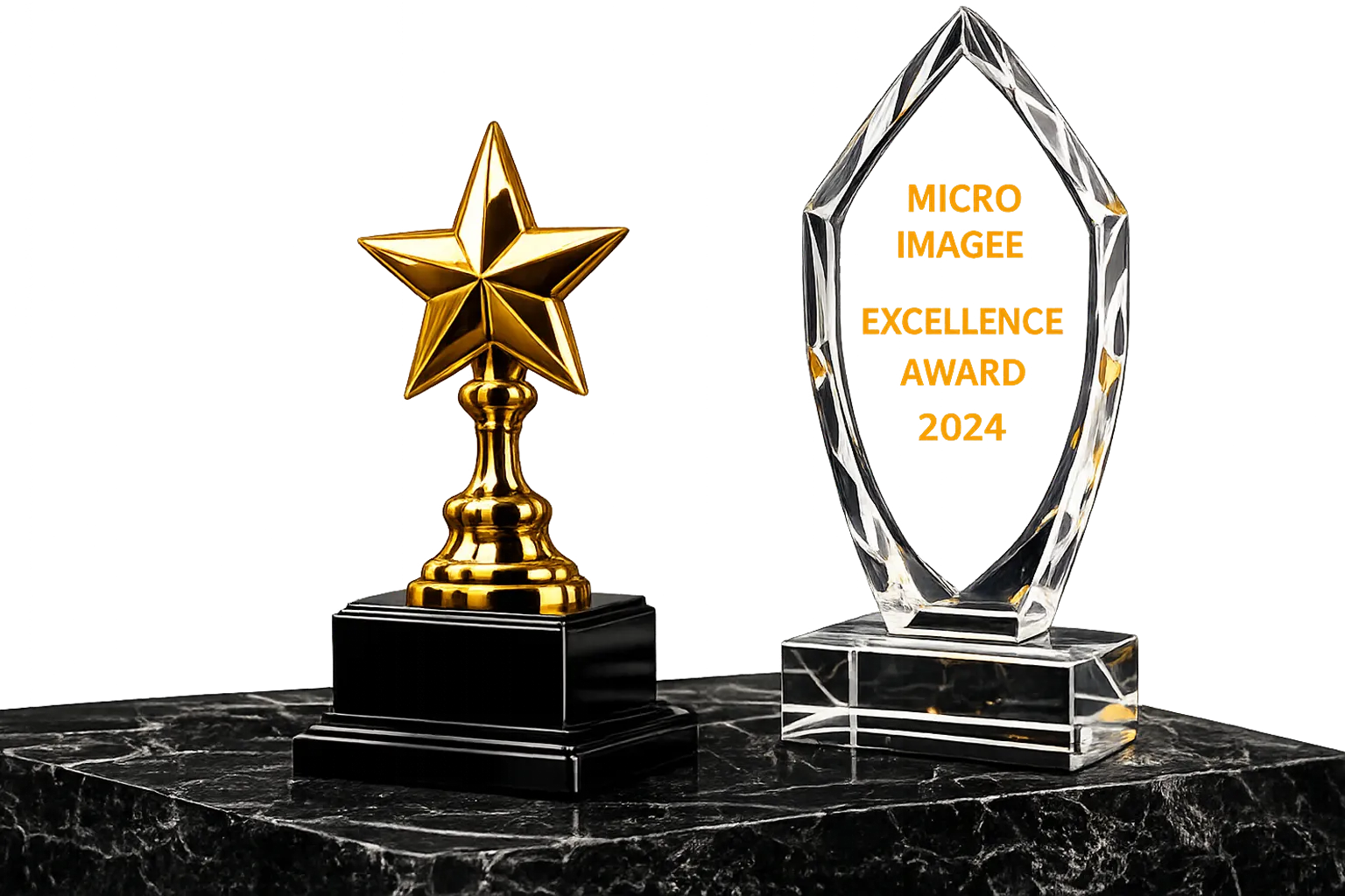 Micro Imagee Premium Awards & Trophies