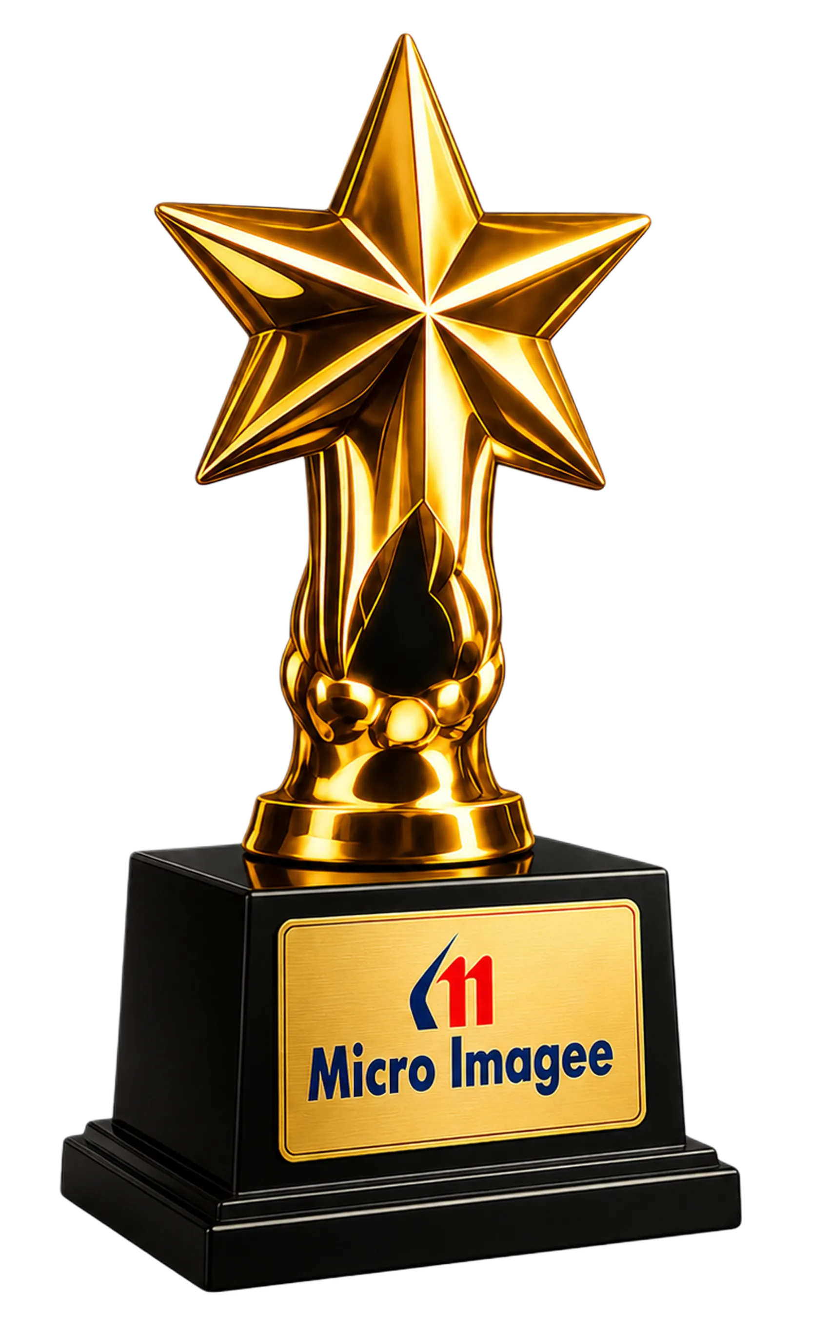Custom Corporate Awards and Recognition Trophies