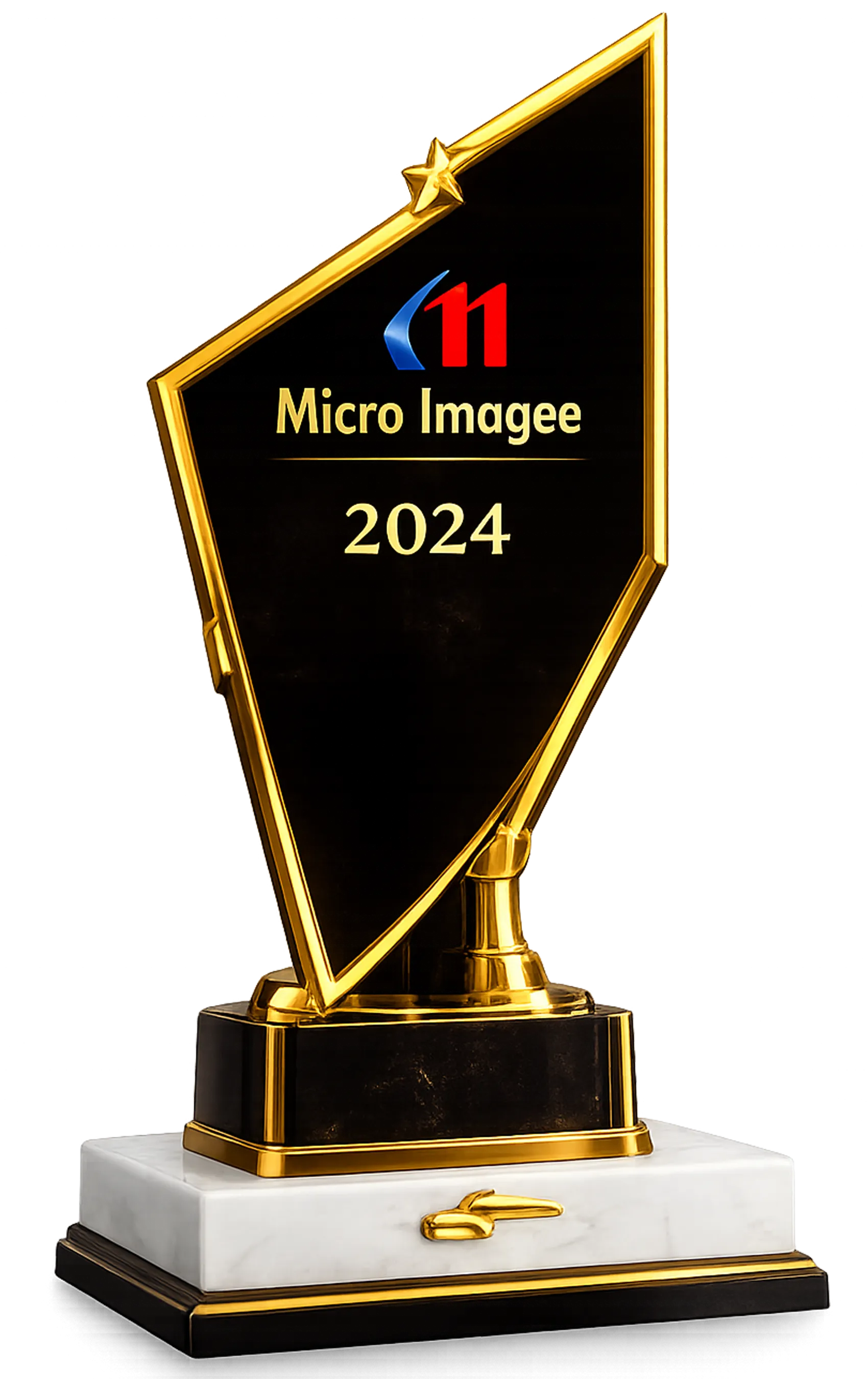 Premium Crystal Trophies for Employee Recognition