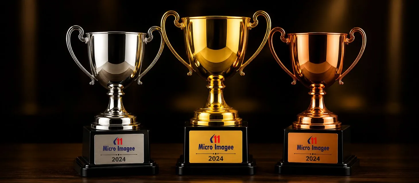 sports trophy championship, corporate trophy award, gold cup trophy